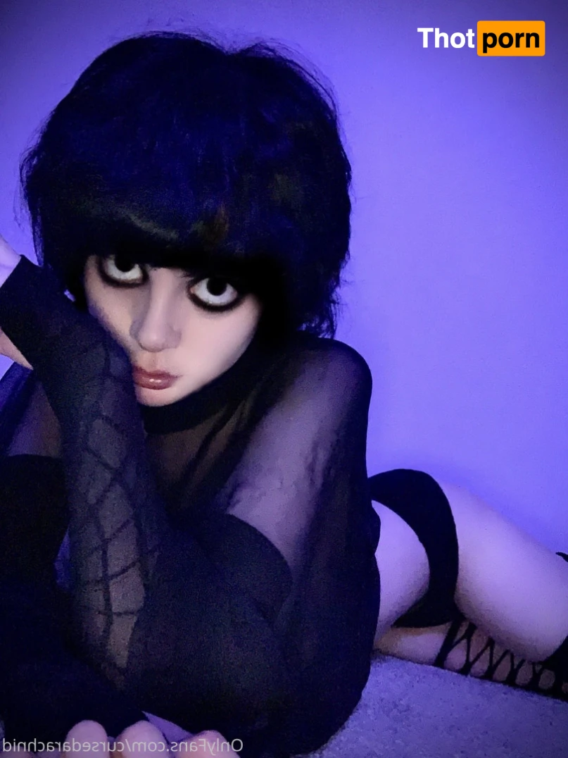 THE SPIDER. 13857441