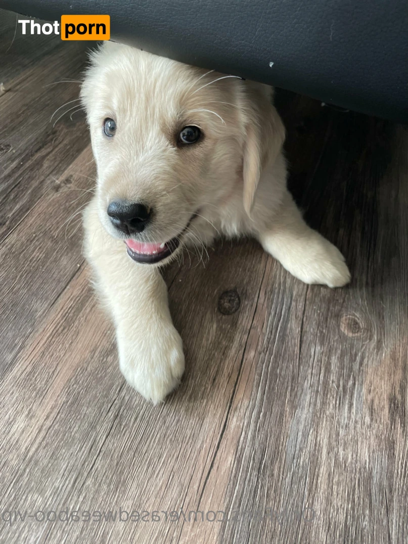 Kai 🖤 ^-^ 💎 13872750