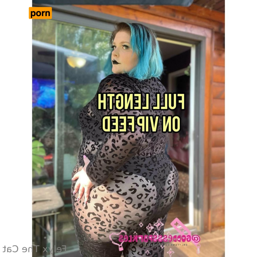 Felyx Previews 6260397