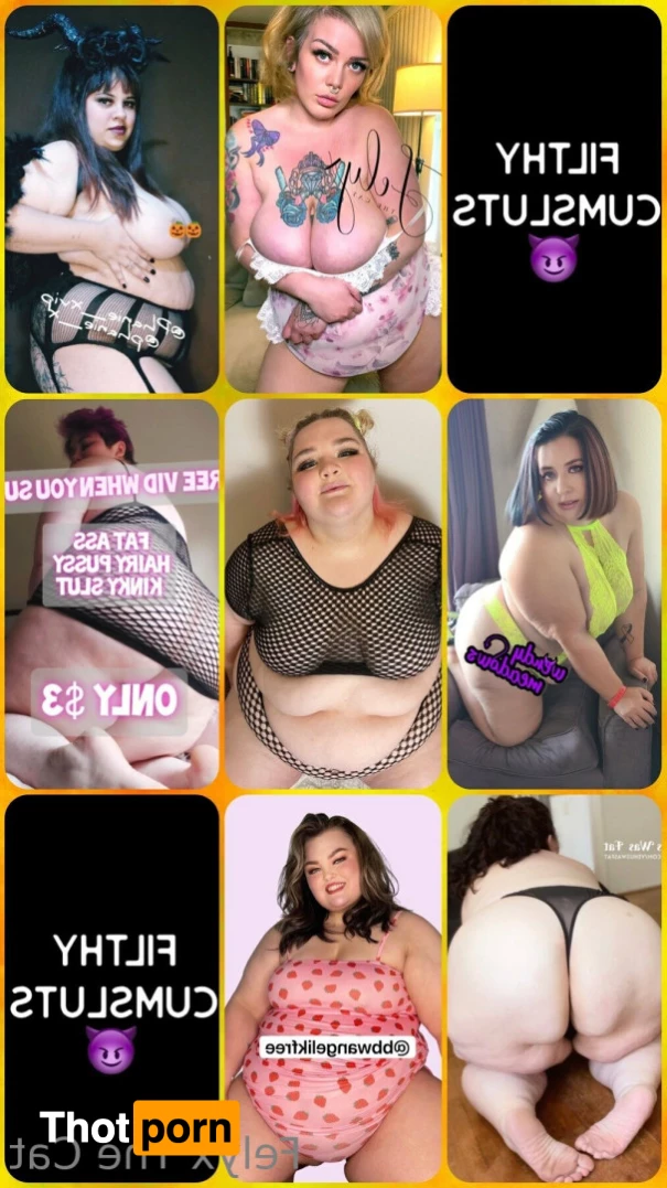 Felyx Previews 6260460