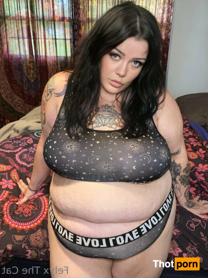 Felyx Previews 14612663