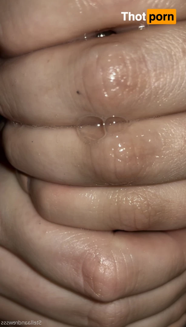 Stella Andrews 6100503