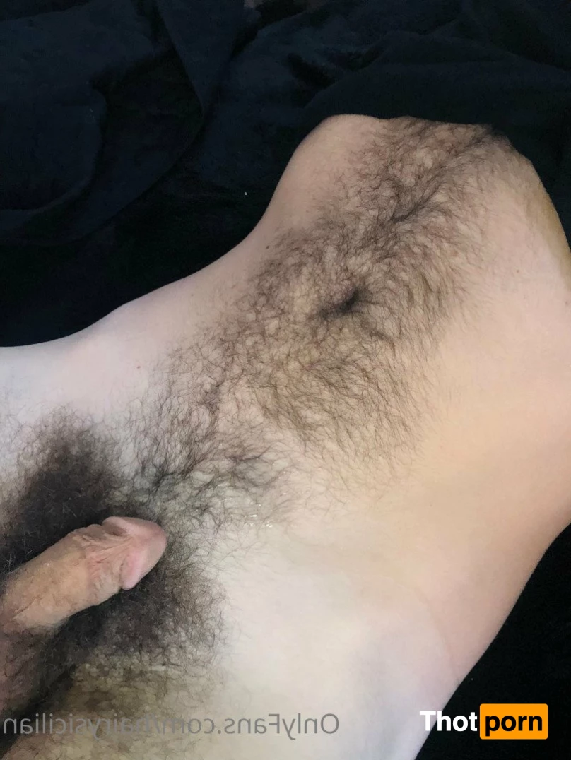 hairy sicilian 2302855