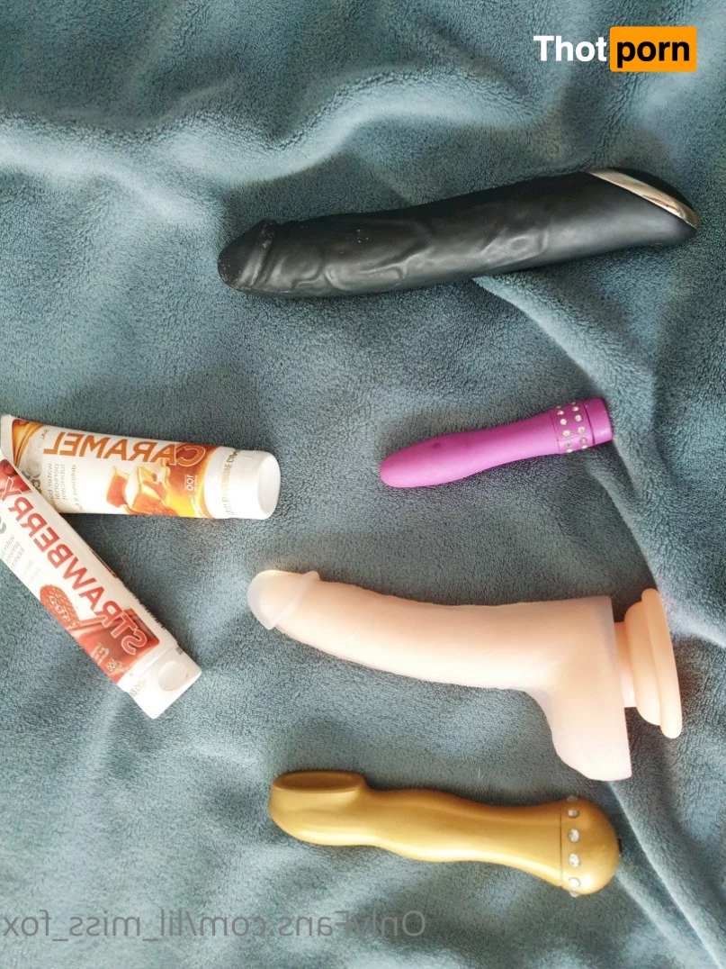 🦊 🎀 Miss Fox 2306669