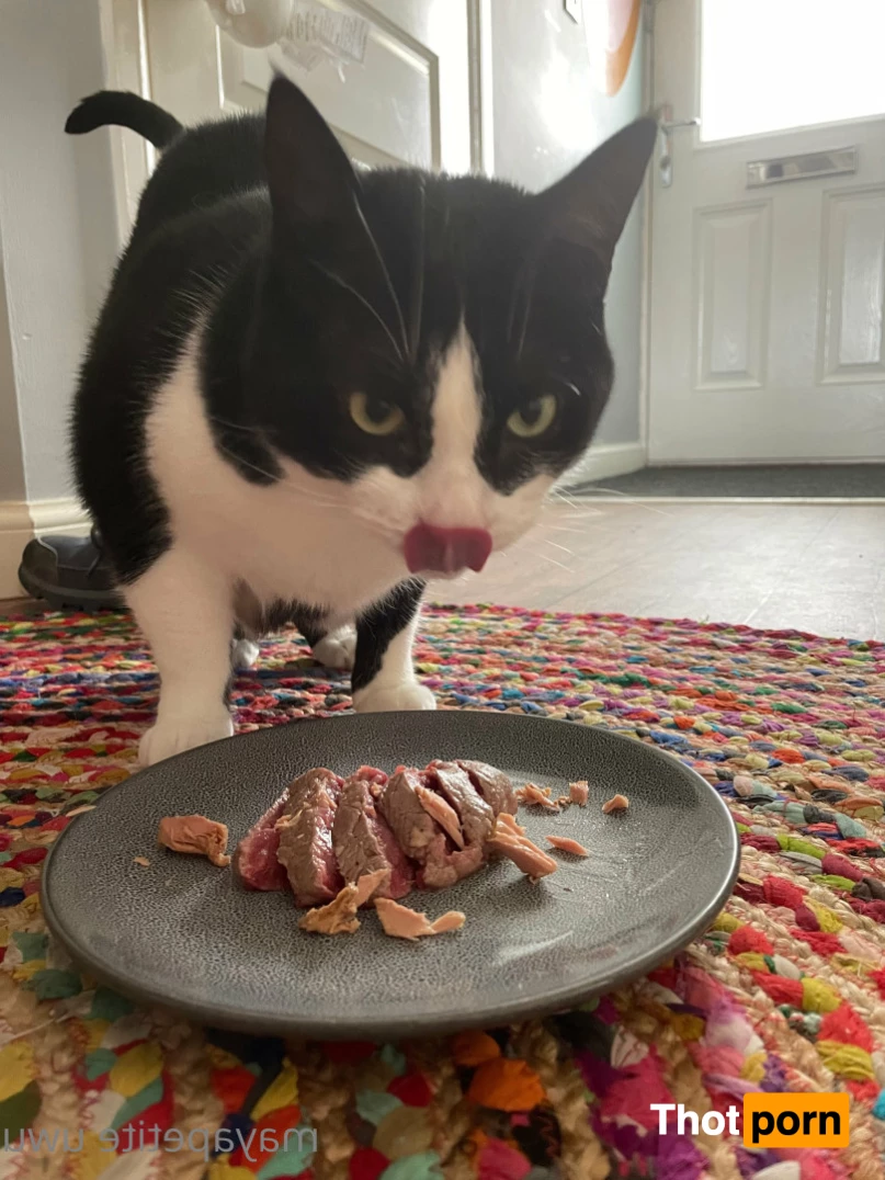 maya - top 3% 💛 6584737