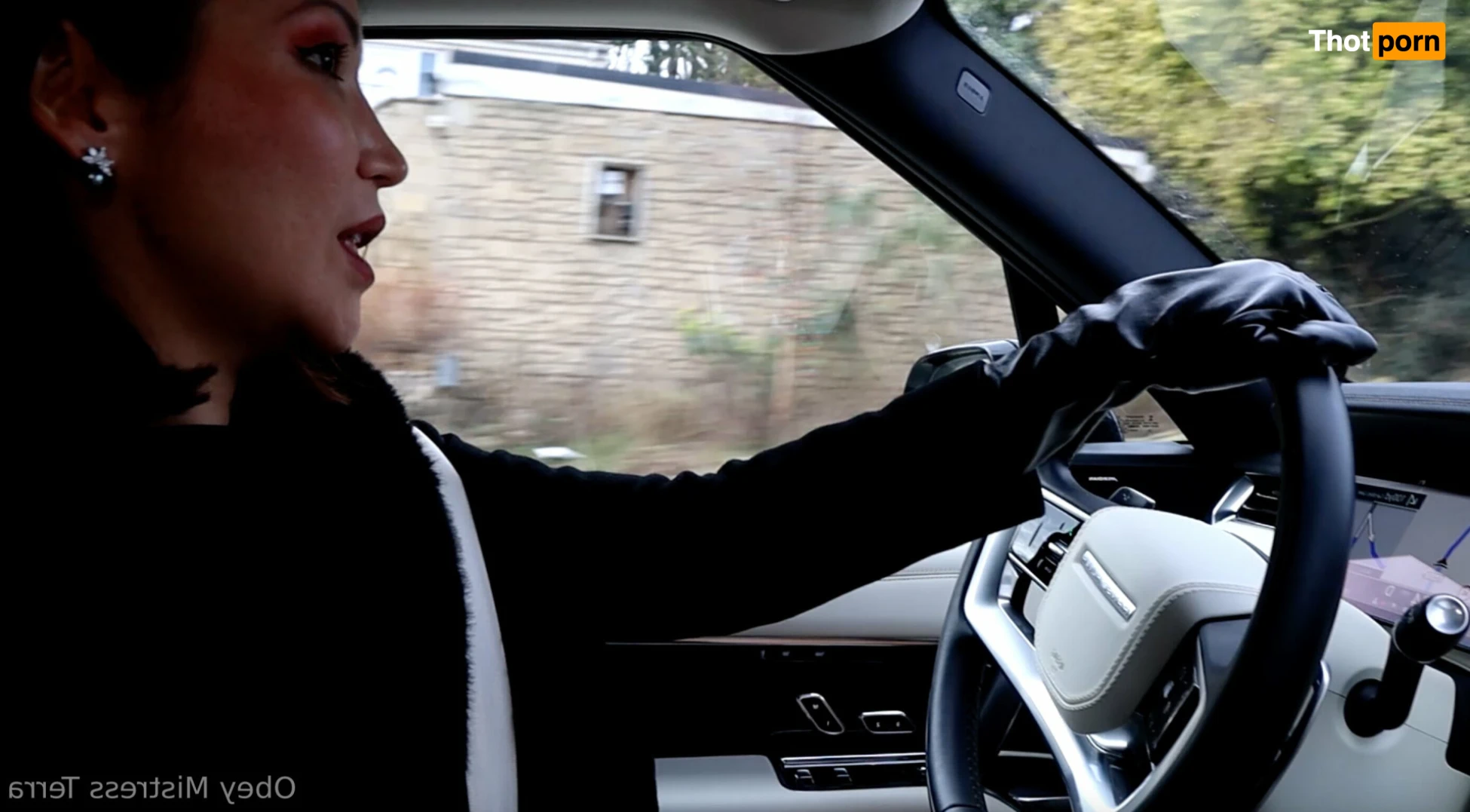 Dominant Mommy 13520424