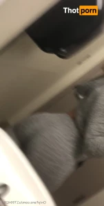 2106426