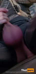 10672183