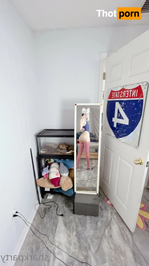 sharkparty💗 4449946