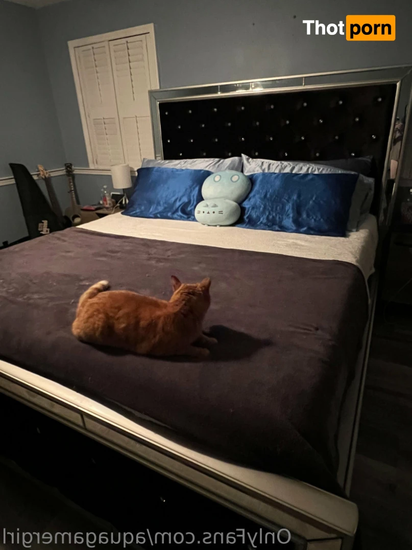 Cami chan [FREE] 13191068