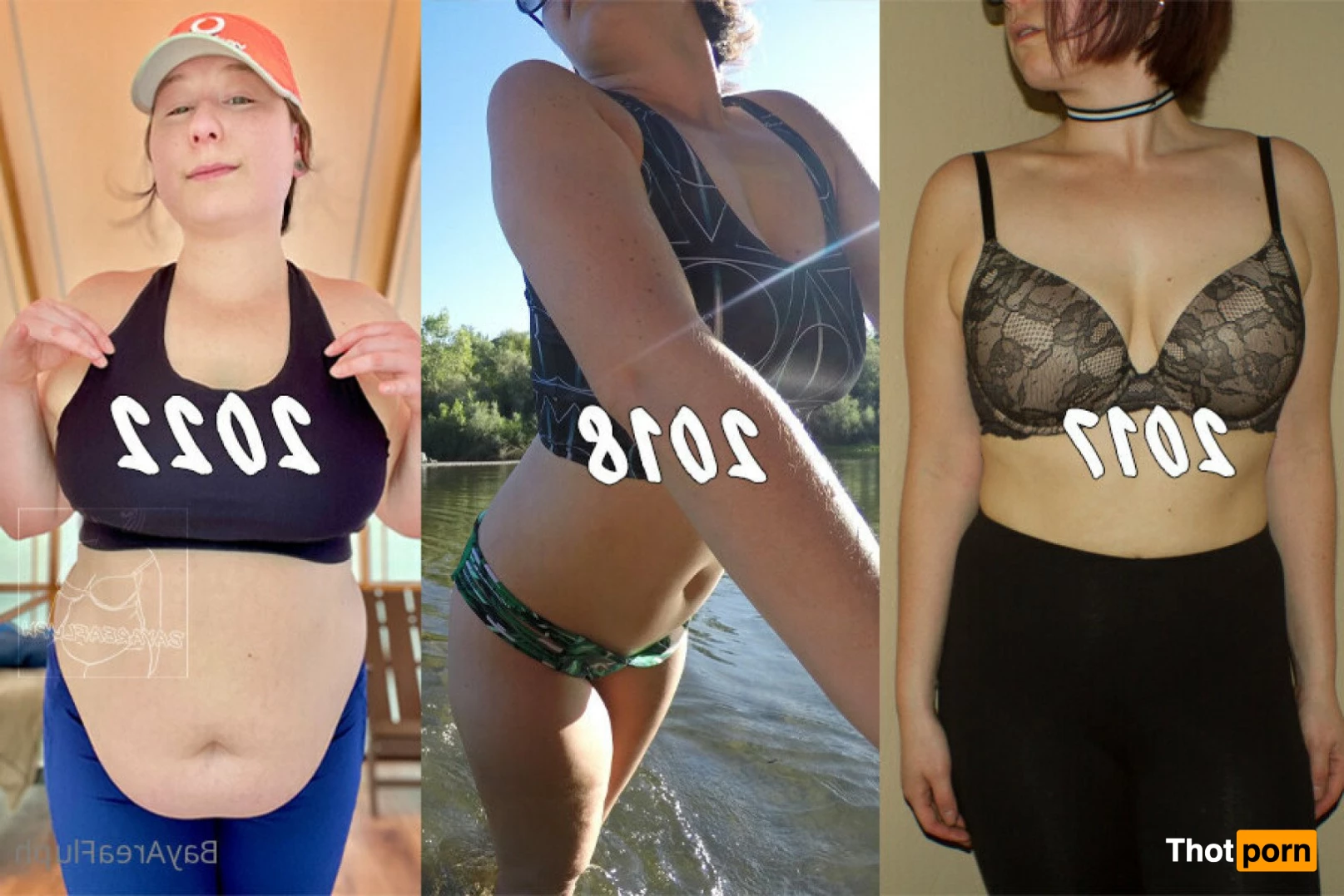 Bayareafluph 2284857