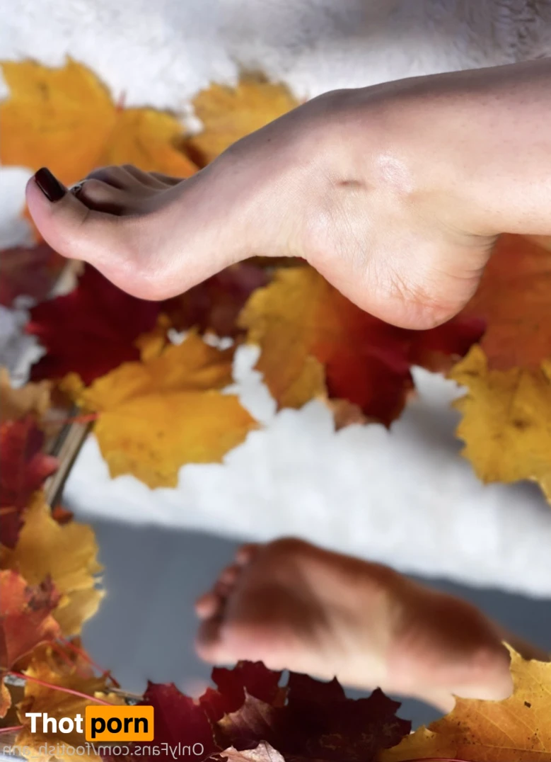 Anna Top 2.5% 13140760