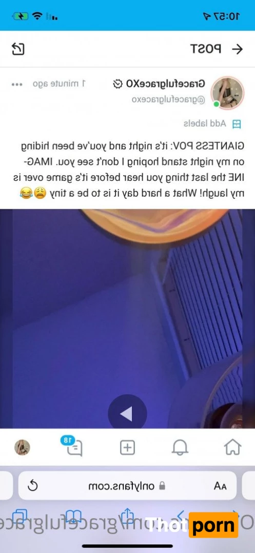 GracefulgraceXOfree 2282168