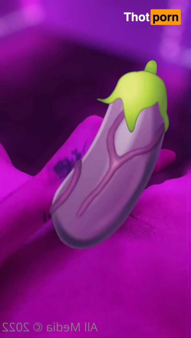 Hayden &amp; Friends 🙈🙉🙊 6087828