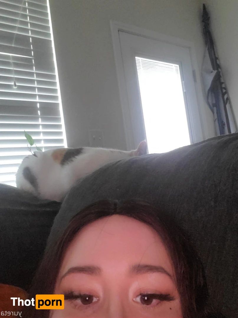 Yureta FREE 12980894