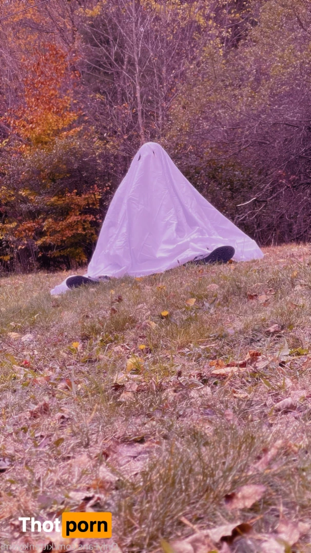 kittenkiyomi 6169040