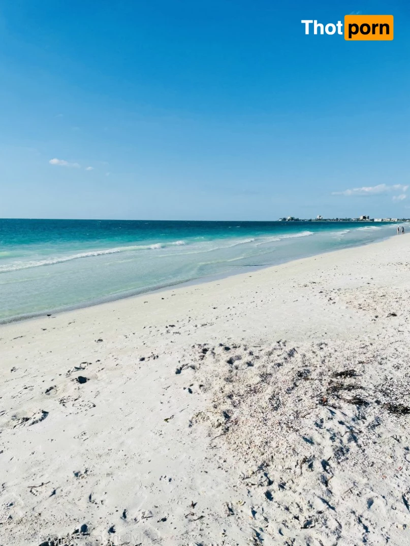 Abella Anderson 4687613