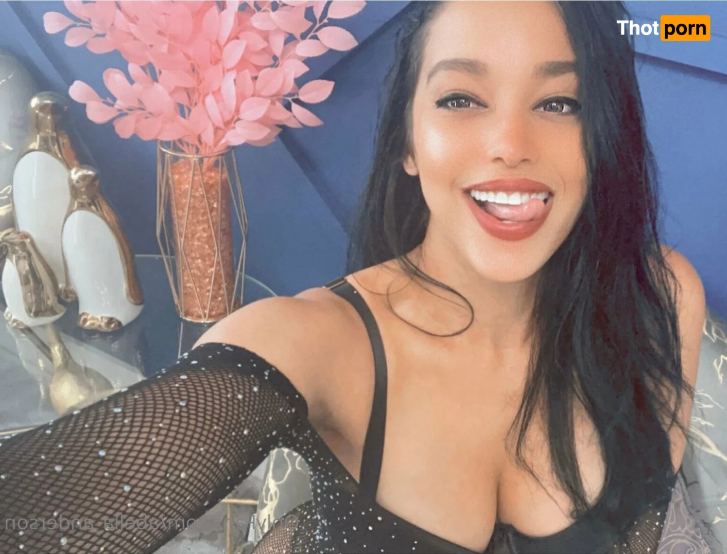 Abella Anderson 4687624