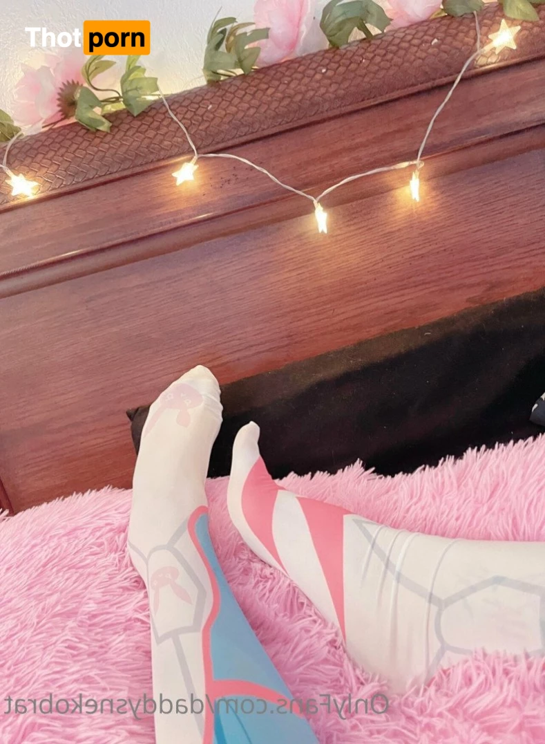 Neko Faith  🐾 2270880