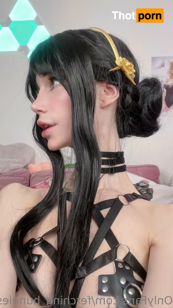 fetching_bunnies 6311554