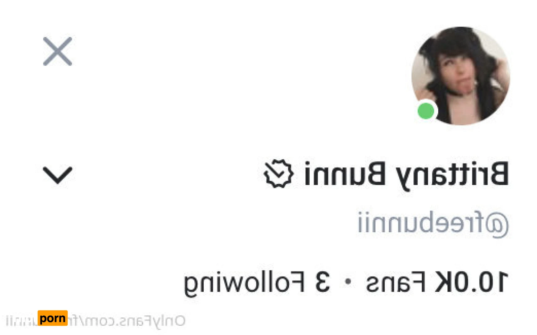 Brittany Bunni 12908560