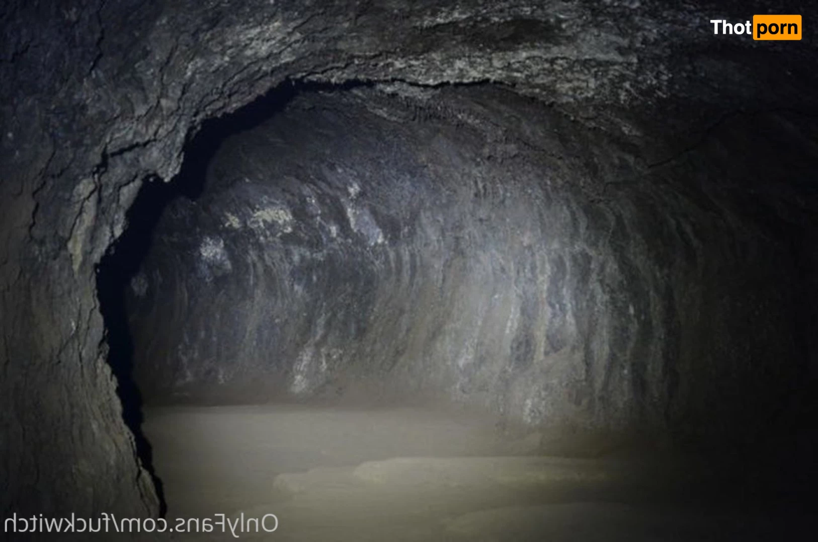 Tale of the Fuckwitch 5982746