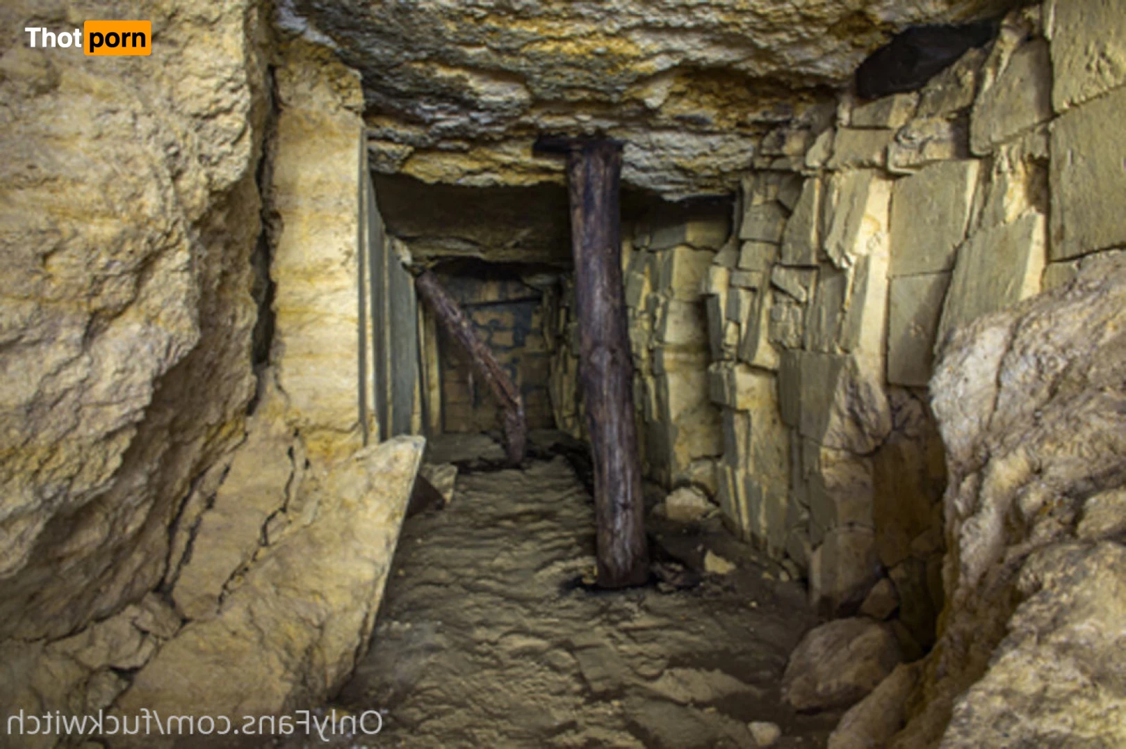 Tale of the Fuckwitch 5982820