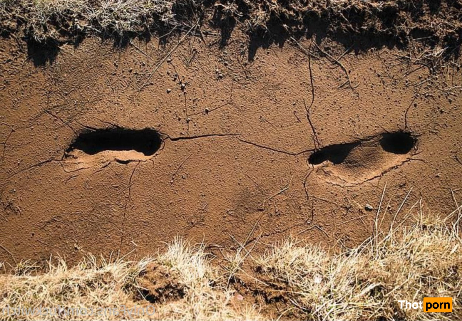 Tale of the Fuckwitch 5982829