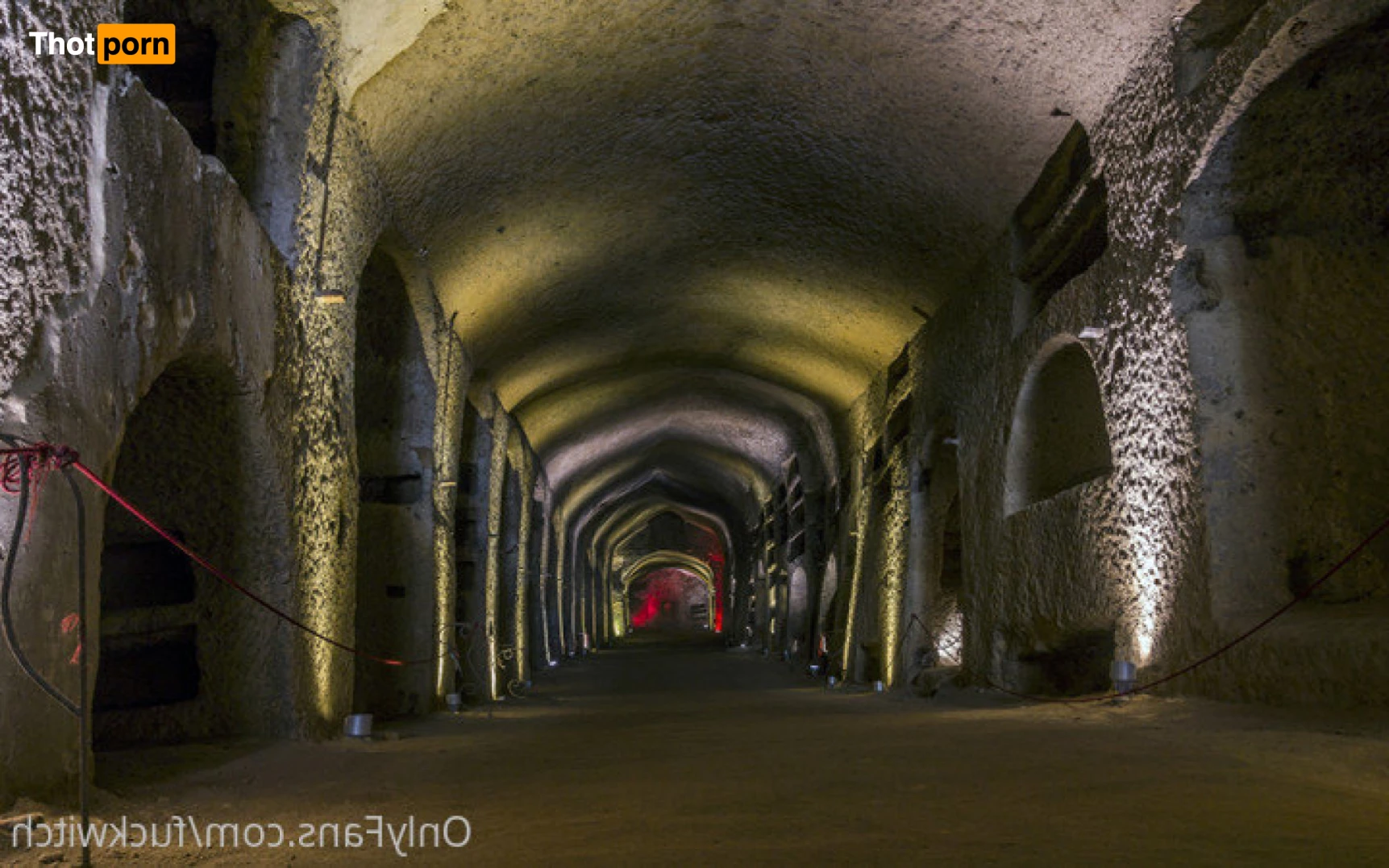 Tale of the Fuckwitch 5982838