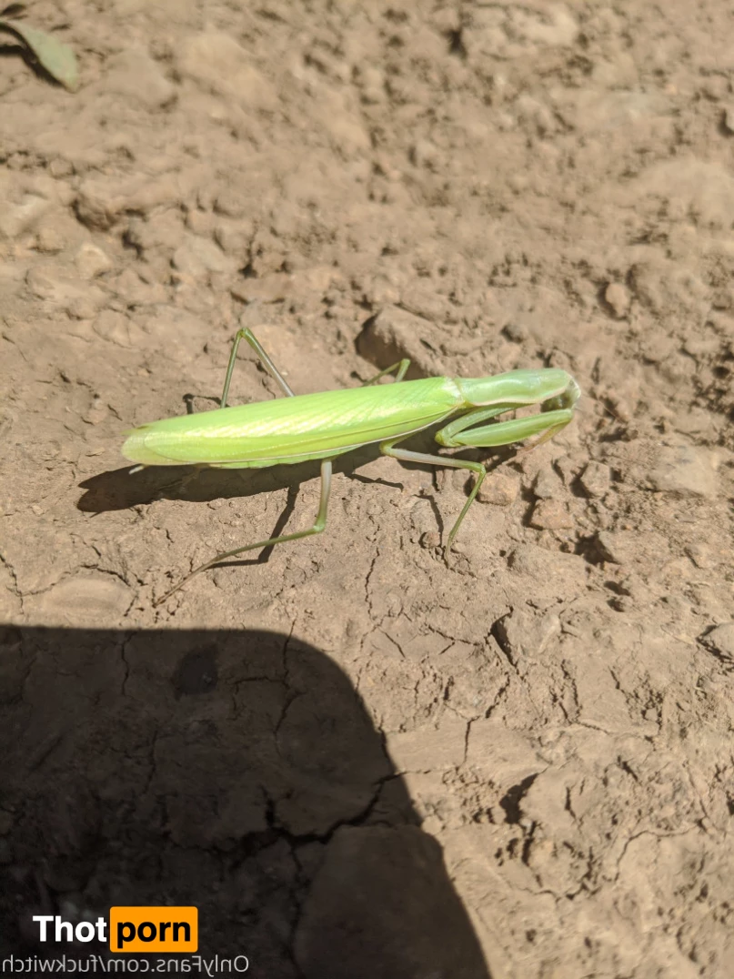 Tale of the Fuckwitch 5982922