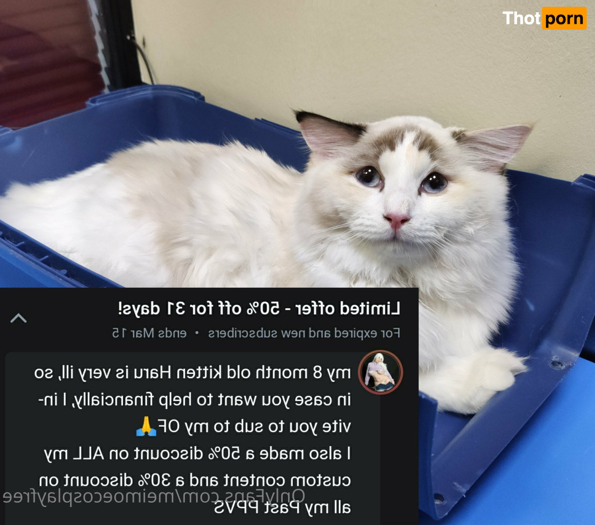 MeiMoeCosplay Free 16569714