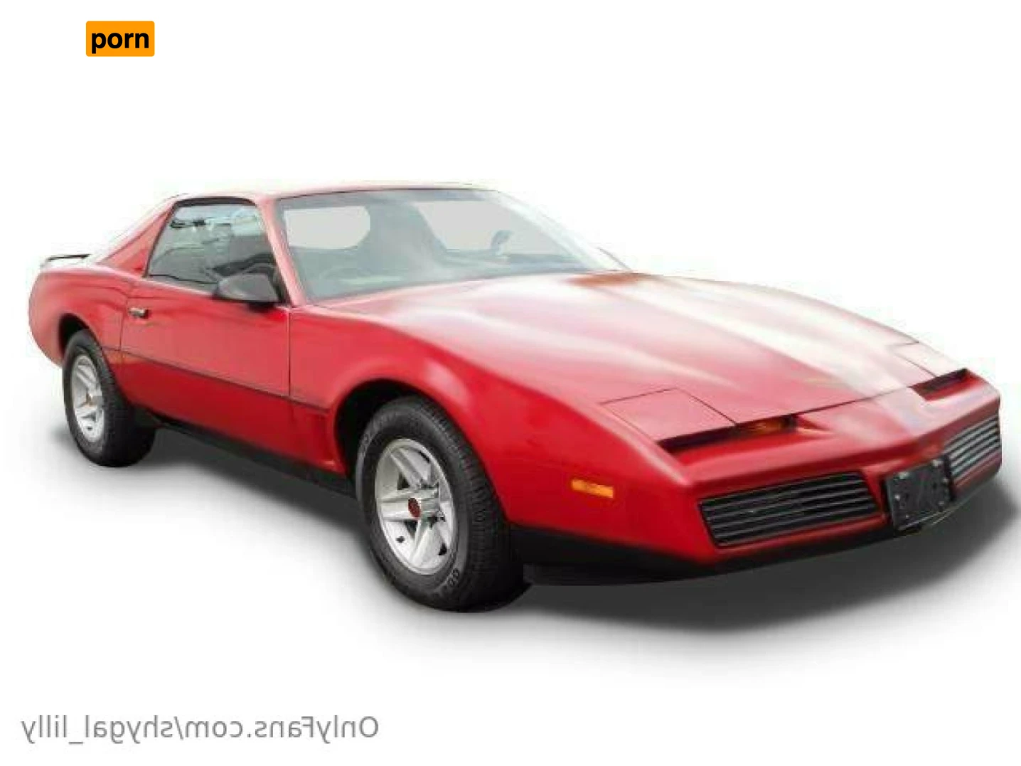 ShyGal Lilly! 11147403