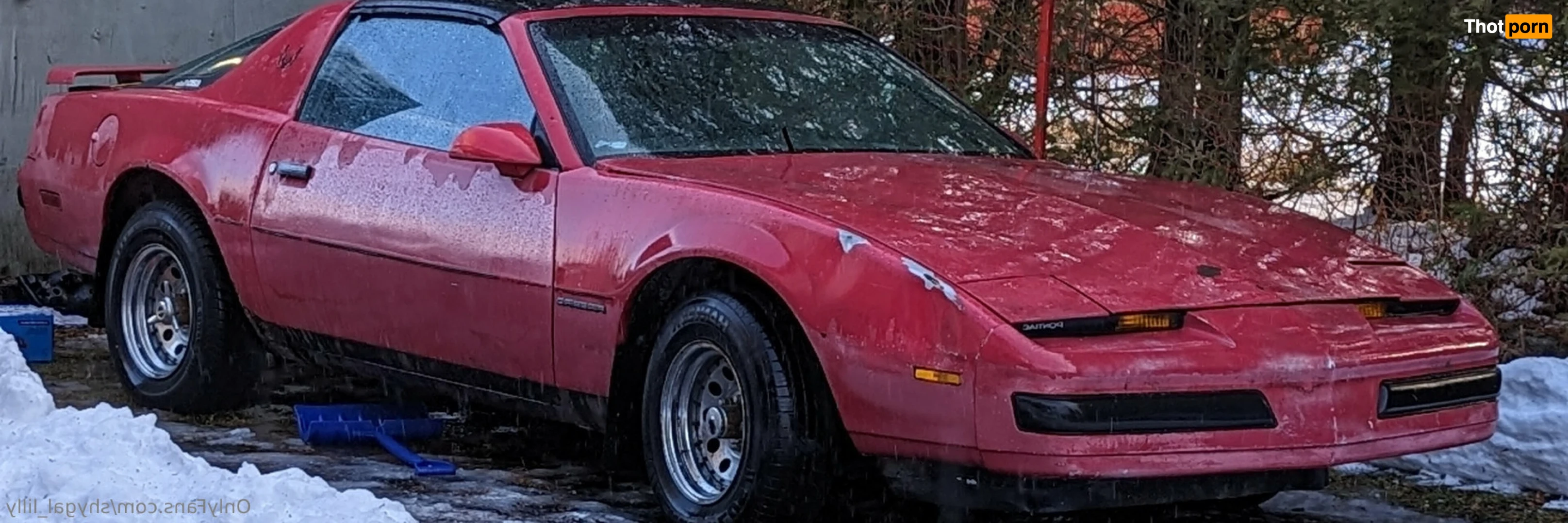 ShyGal Lilly! 11184927