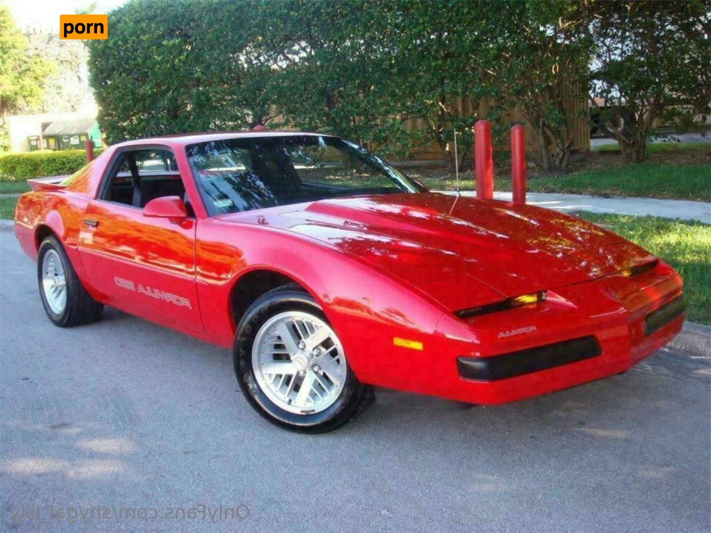 ShyGal Lilly! 11255805