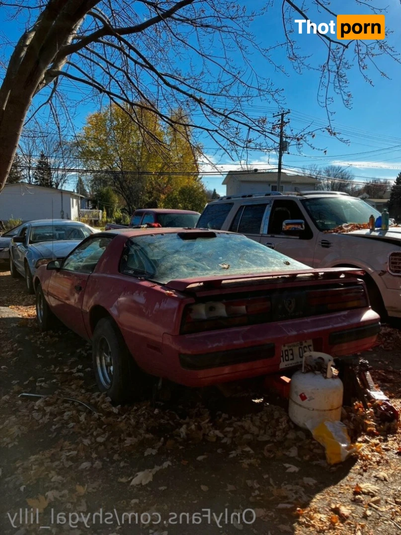 ShyGal Lilly! 12856658