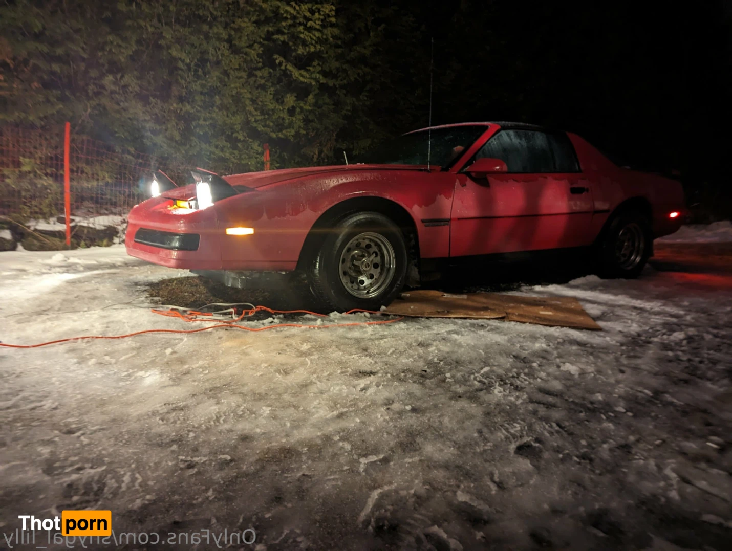 ShyGal Lilly! 12856801