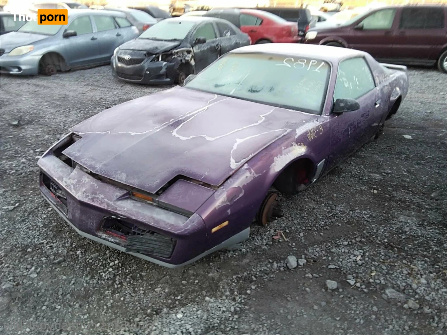 ShyGal Lilly! 12857067