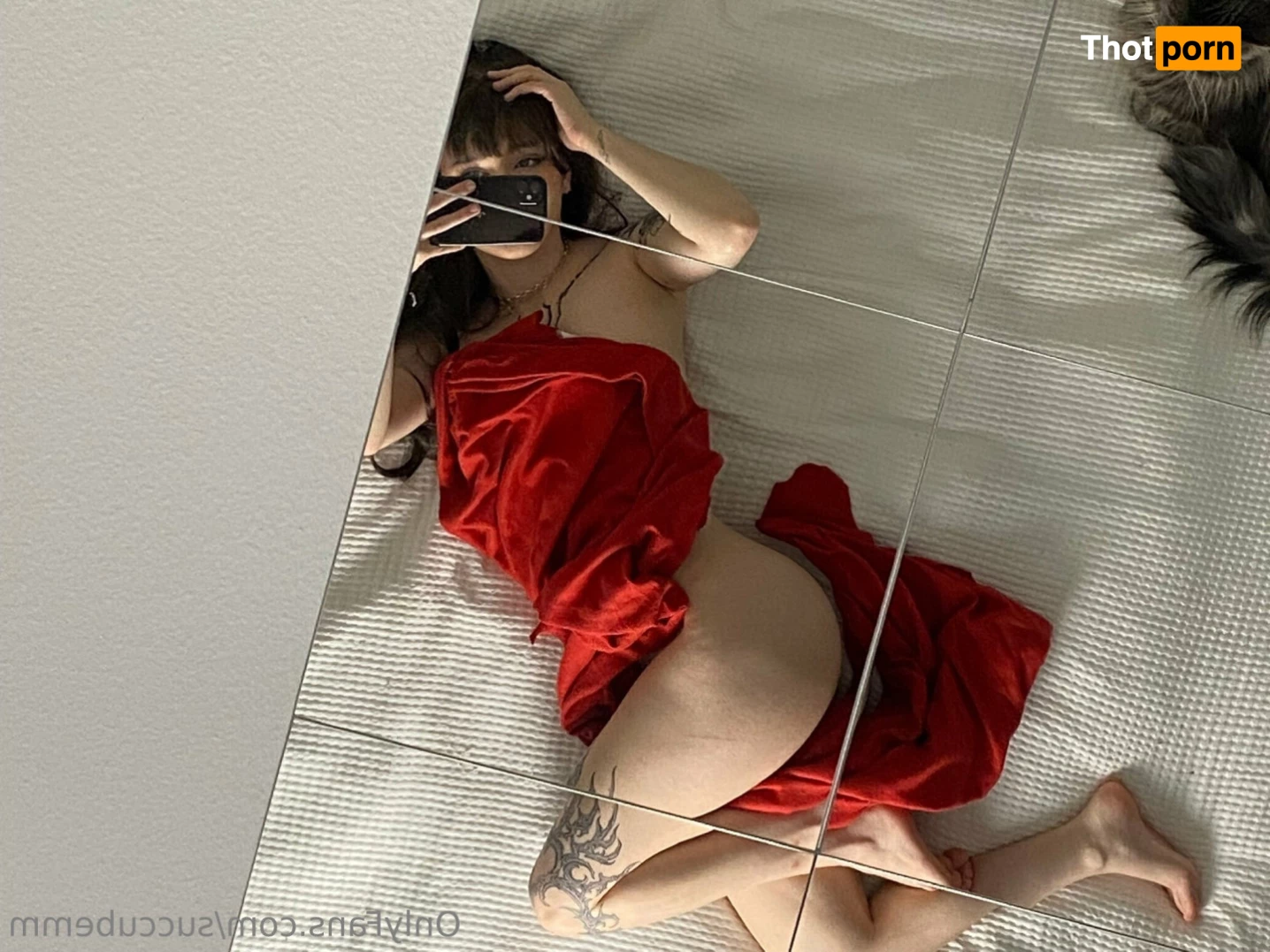 ★ 𝓢𝓾𝓬𝓬𝓾𝓫𝓮𝓶 ★ 9936942