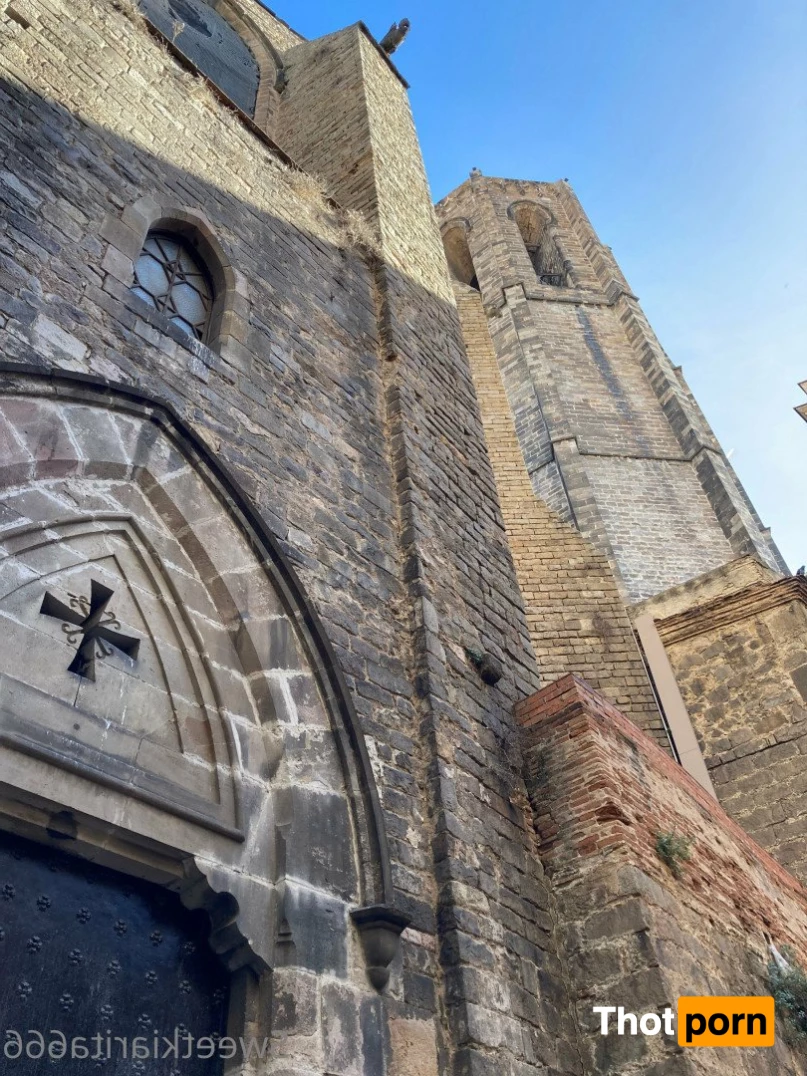 ✧ 𝓢𝔀𝓮𝓮𝓽 𝓚𝓲𝓪𝓻𝓲𝓽𝓪 ✧ 2269363