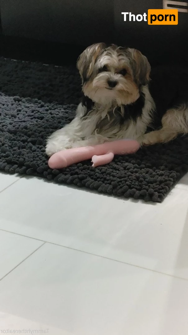 @Tammyhtherealtor 3761805