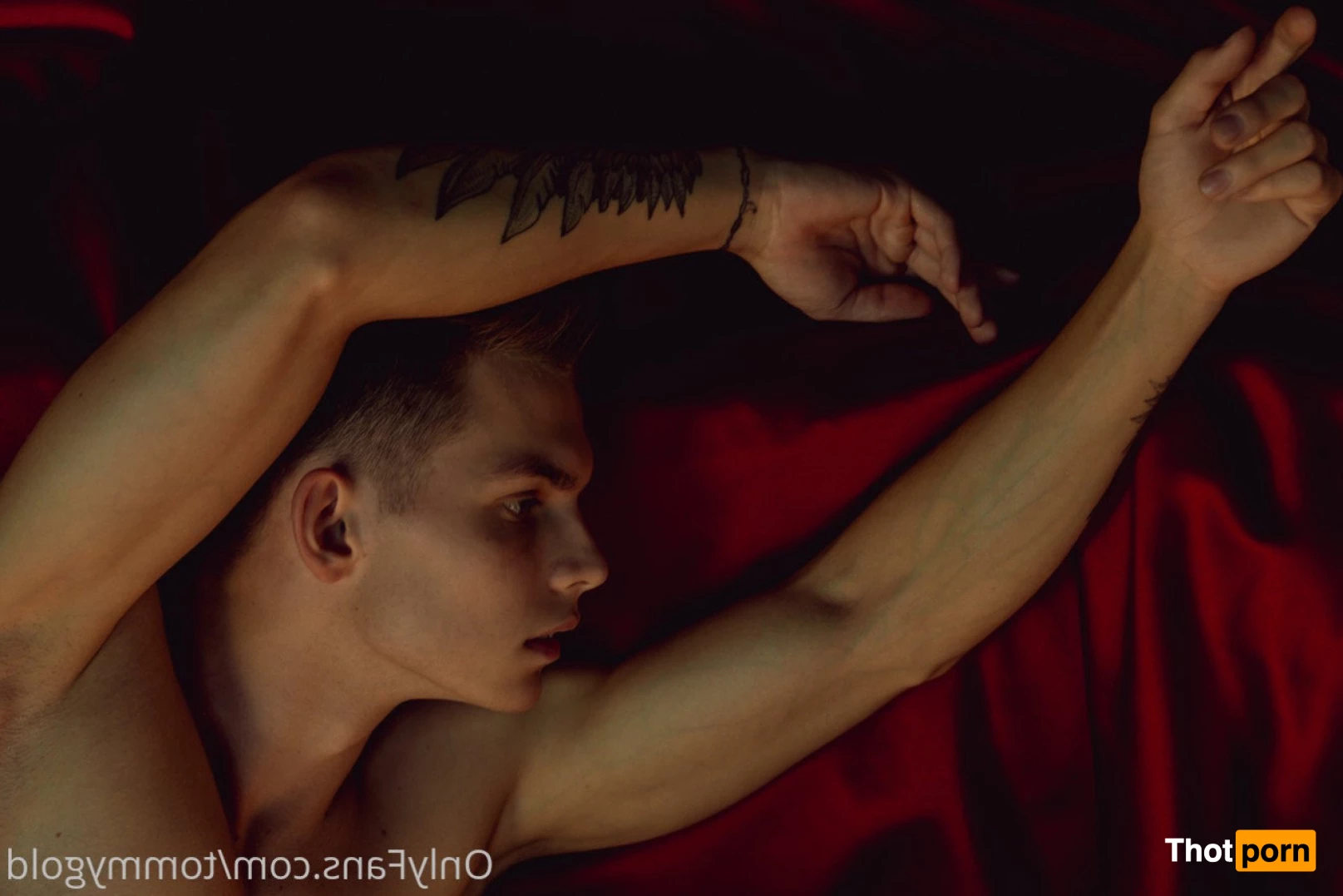 Tommy Gold💦Free  @tommygold 3581735