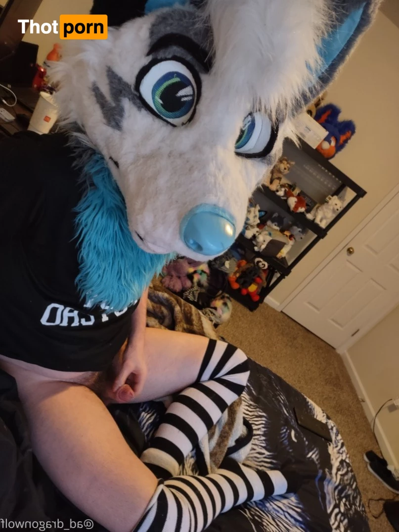 AD_DragonWolf 3614132