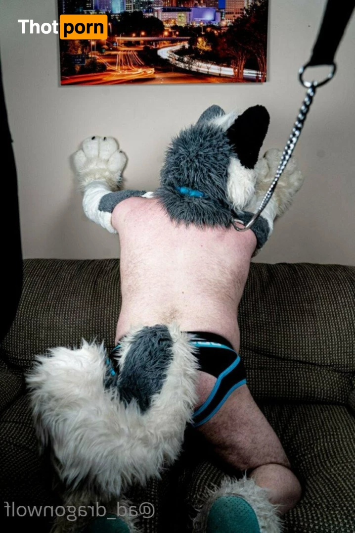 AD_DragonWolf 3614233