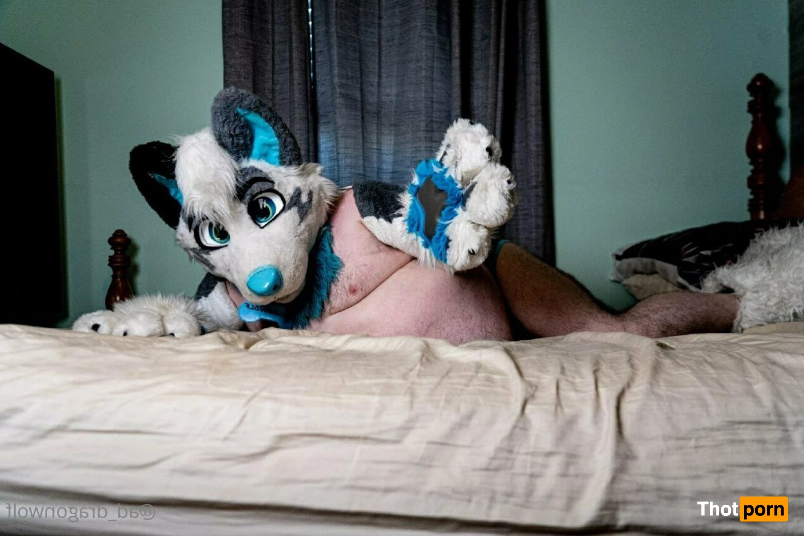 AD_DragonWolf 3614871