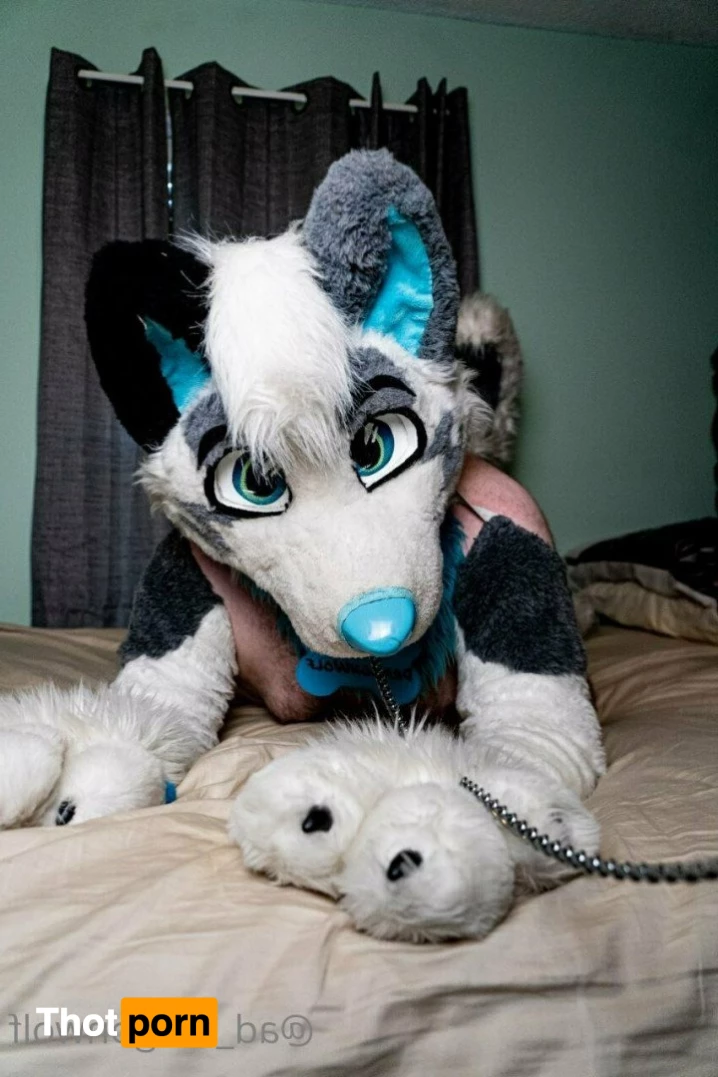 AD_DragonWolf 3615056