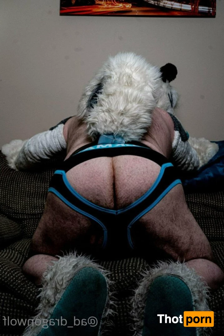 AD_DragonWolf 3615158