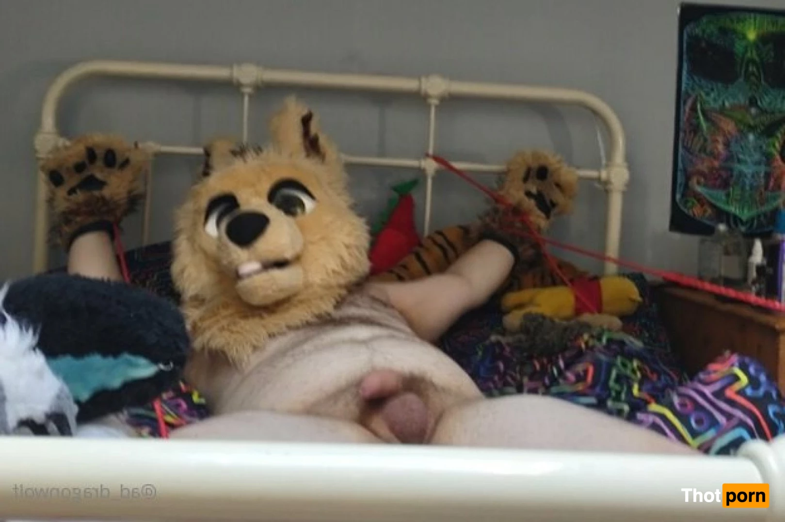 AD_DragonWolf 3615447