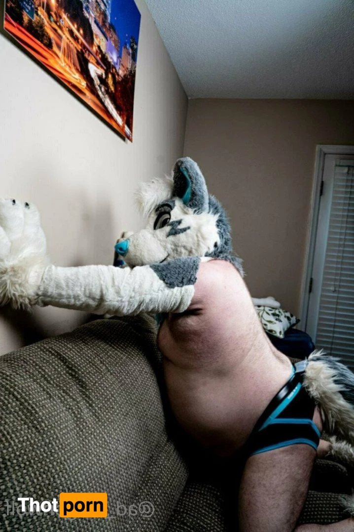 AD_DragonWolf 3615750