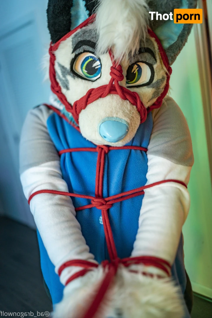 AD_DragonWolf 16205031