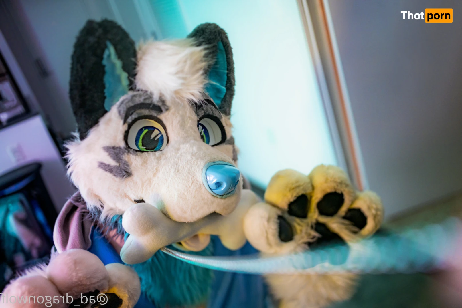 AD_DragonWolf 16205059